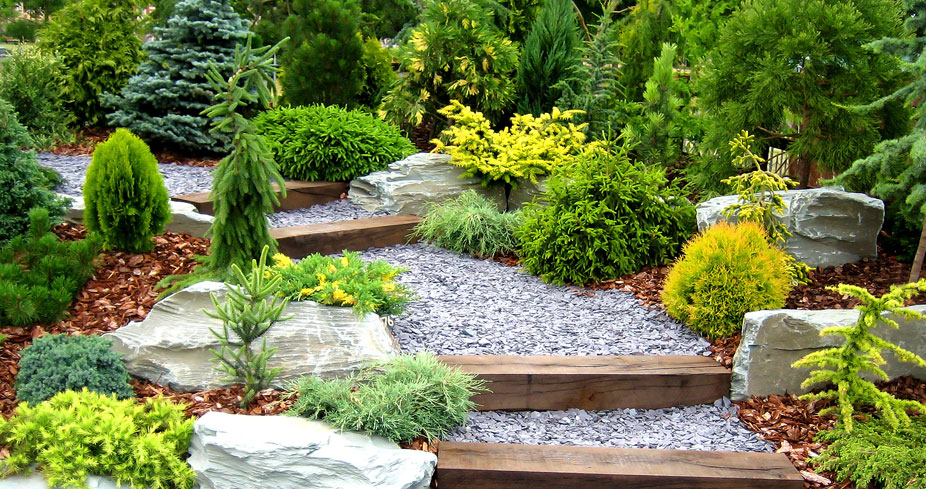 unique landscaping